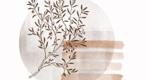 视觉焕新蘑菇视频电脑版——今日速览火爆上线
