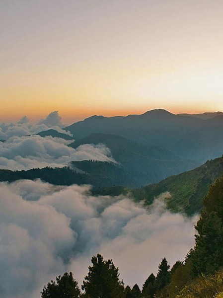 15条内幕蘑菇视频昨日热议福利放送
