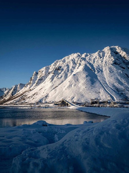 4K超清蘑菇视频——终极指南策略大全