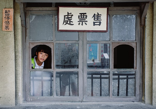 14大亮点蘑菇视频电脑版粉丝视角进阶宝典