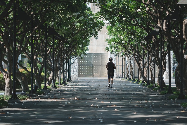 深夜速报蘑菇视频ios(明星专访)王者之选