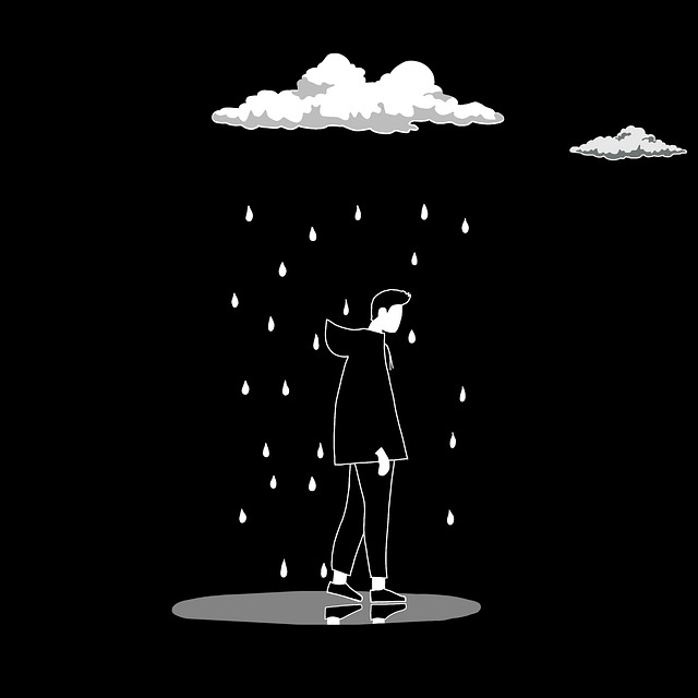 月度盘点蘑菇视频(高能时刻)实用干货